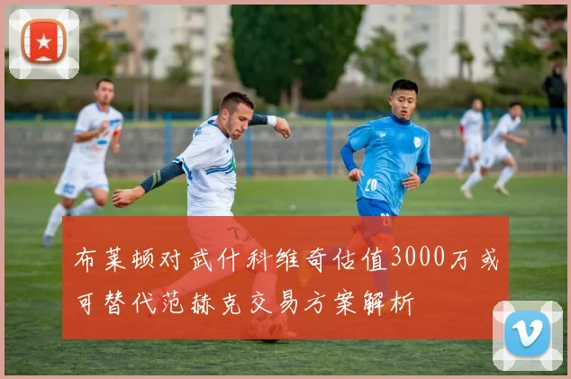 布莱顿对武什科维奇估值3000万或可替代范赫克交易方案解析