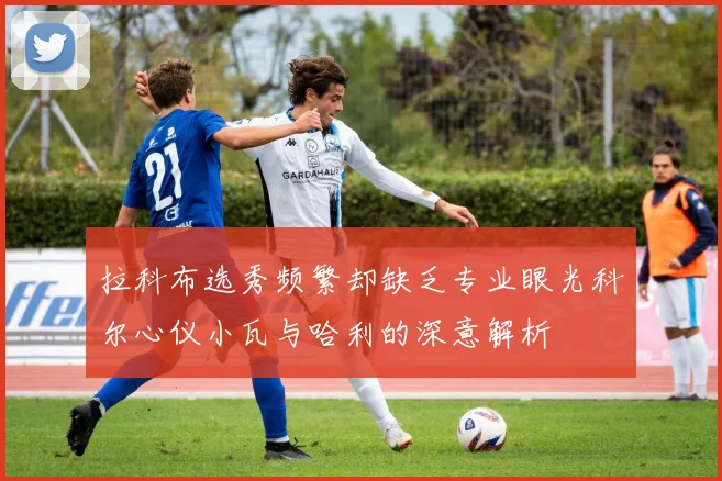 拉科布选秀频繁却缺乏专业眼光科尔心仪小瓦与哈利的深意解析